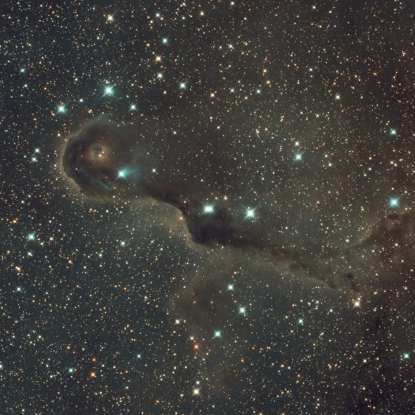 IC 1396 – C2PU 2022