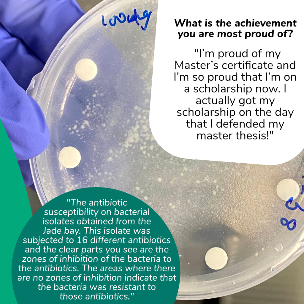 Question: „What is the achievement you are most proud of?“
Answer: „I’m proud of my Master’s certificate and I’m so proud that I’m on a scholarship now. I actually got my scholarship on the day that I defended my master thesis!”
A picture of a petri dish. Adenike Adenaya describes the picture like this:
“The antibiotic susceptibility on bacterial isolates obtained from the Jade bay. This isolate was subjected to 16 different antibiotics and the clear parts you see are the zones of inhibition of the bacteria to the antibiotics. The areas where there are no zones of inhibition indicate that the bacteria was resistant to those antibiotics.”