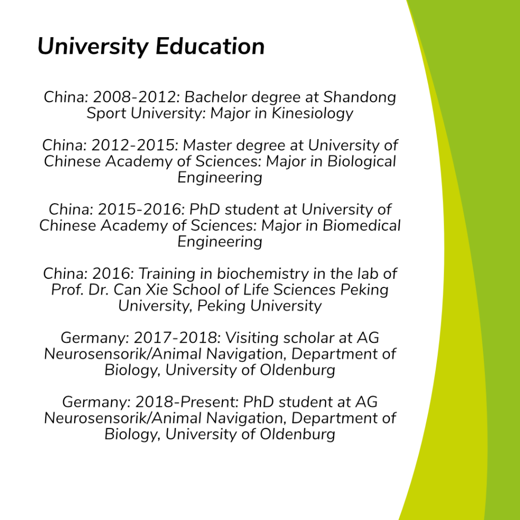 Here you can see Jingjing Xu’s University Education. Again, black text on a white background.
University Education:
China: 2008-2012: Bachelor degree at Shandong Sport University: Major in Kinesiology
China: 2012-2015: Master degree at University of Chinese Academy of Sciences: Major in Biological Engineering
China: 2015-2016: PhD student at University of Chinese Academy of Sciences: Major in Biomedical   Engineering
China: 2016: Training in biochemistry in the lab of Prof. Dr. Can Xie School of Life Sciences Peking University, Peking University
Germany: 2017-2018: Visiting scholar at AG Neurosensorik/Animal Navigation, Department of Biology, University of Oldenburg
Germany: 2018-Present: PhD student at AG Neurosensorik/Animal Navigation, Department of Biology, University of Oldenburg